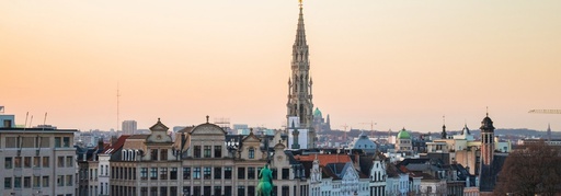 Private Guide - Brussels